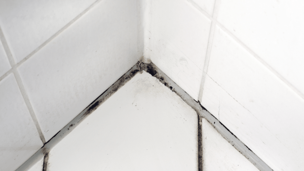 mouldy-silicone